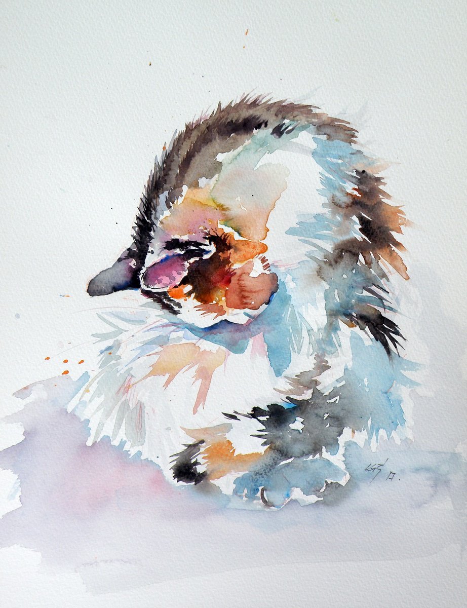 Impressionistic Animal Watercolour By Kovacs Anna Brigitta, 11 X 15", Beautify Cat, Original Artwork