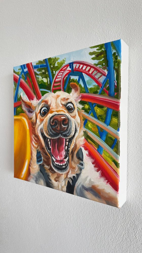 No Brakes | Dog on Rollercoaster