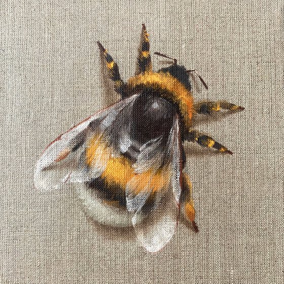 “Impermanent life” #15 Bumblebee