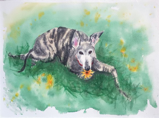 Greyhound in meadow... /  ORIGINAL PAINTING