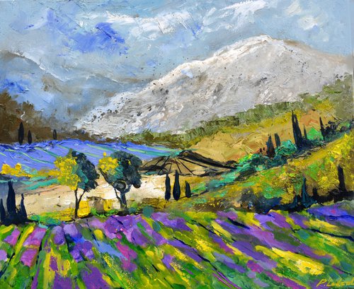 Provence Lavender 65 by Pol Henry Ledent