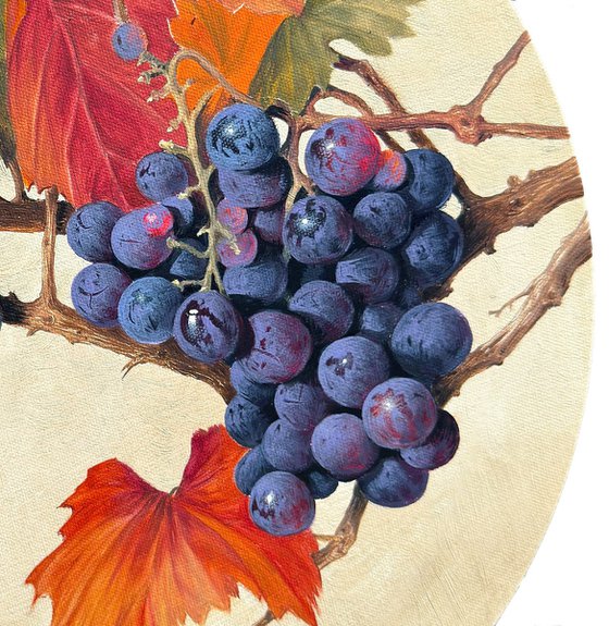 Autumn Grapes 2025