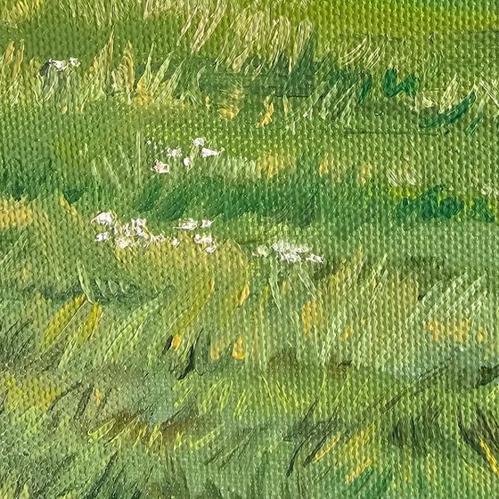 Summer Pasture