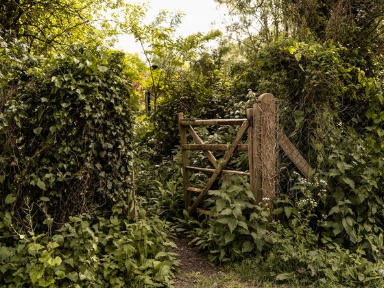 The End of Love Lane