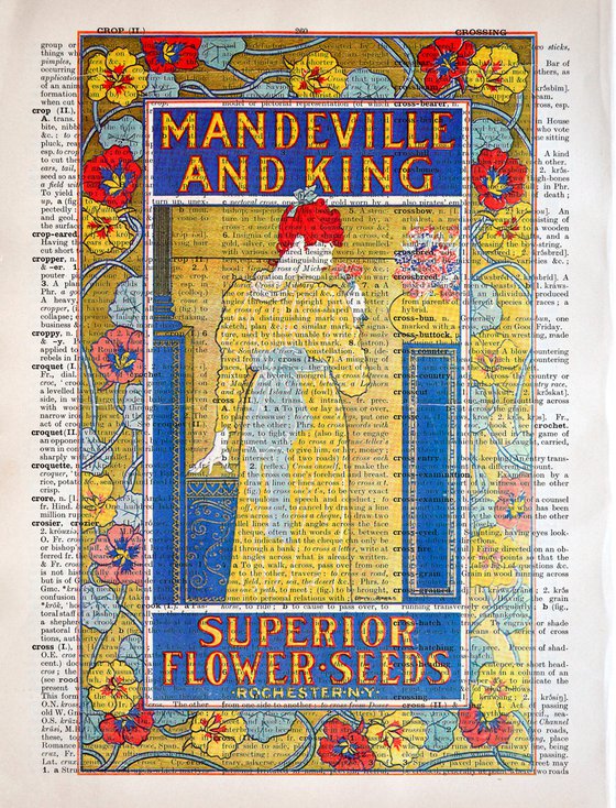Mandeville and King Superior Flower Seeds - Collage Art Print on Large Real English Dictionary Vintage Book Page