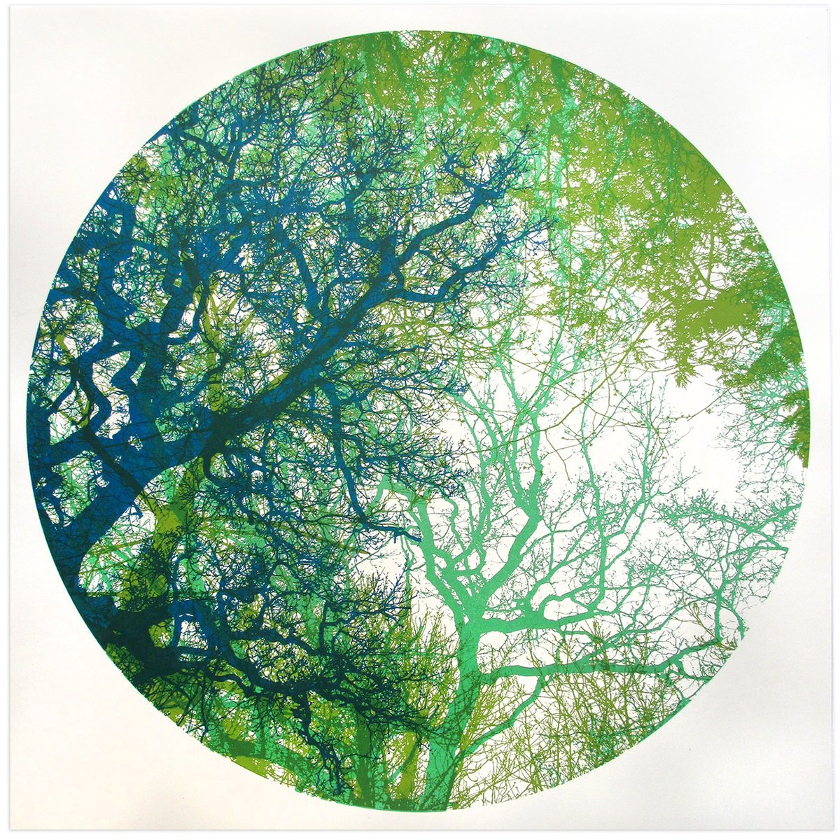 Illustrative Botanical Screenprint By Chris Keegan, 16 X 16, Wildwood, Original Artwork