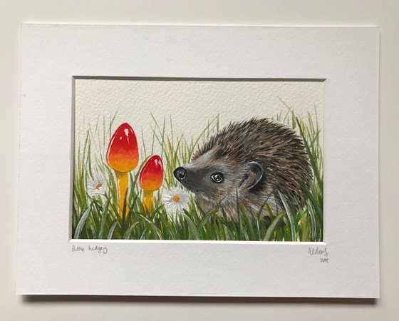 Little hedgey