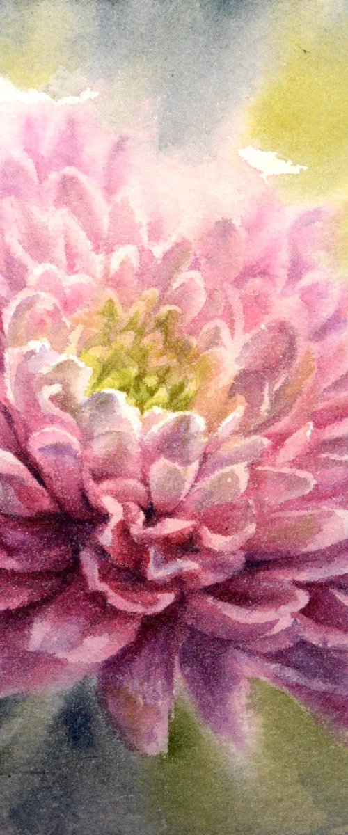 Chrysanthemum by Lida Duchnewitsch