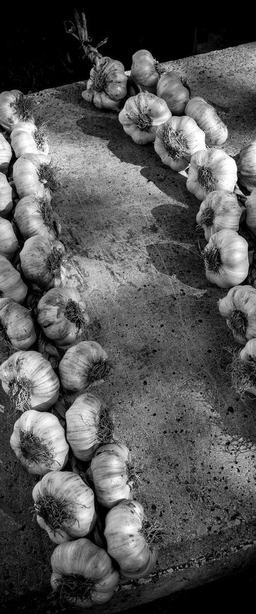 Garlic Ropes by Stephen Hodgetts Photography