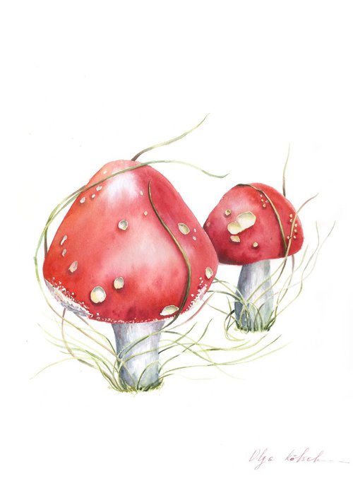 Amanita Mushrooms by Olga Koelsch
