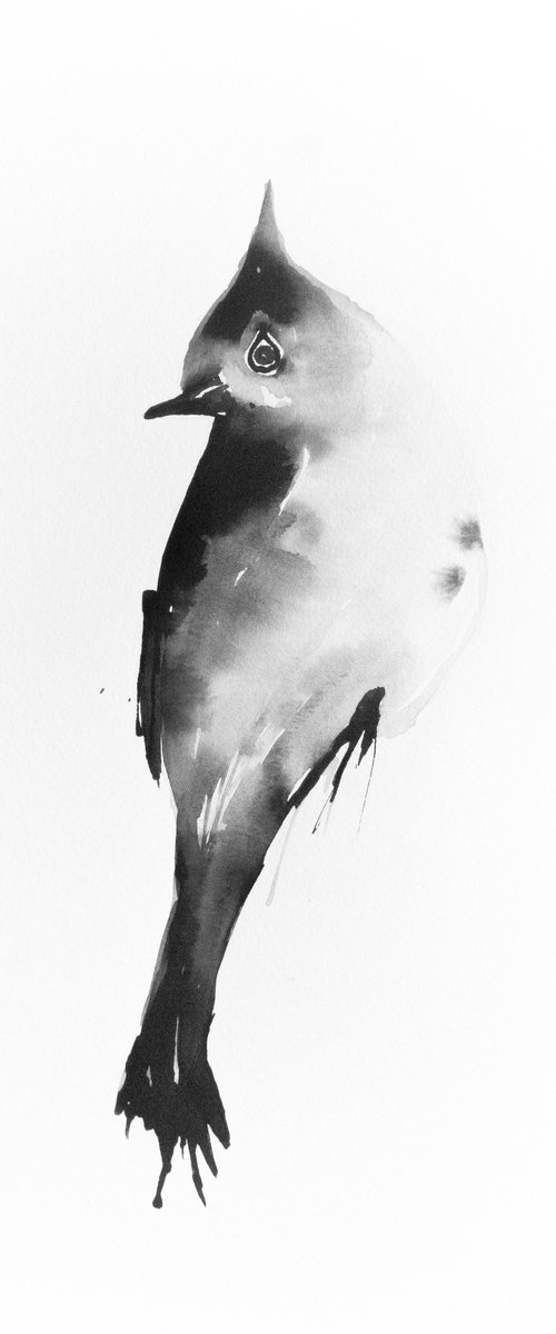 Bird by Nadia Moniatis