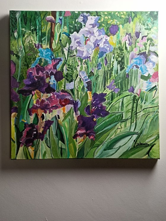Irises flowers