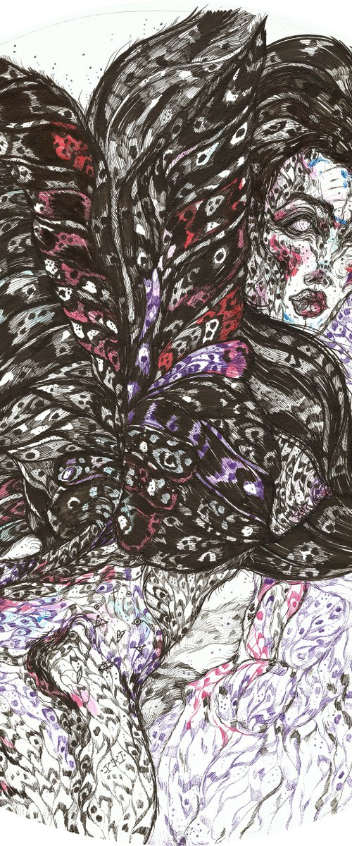 Black Butterfly by Maria Susarenko
