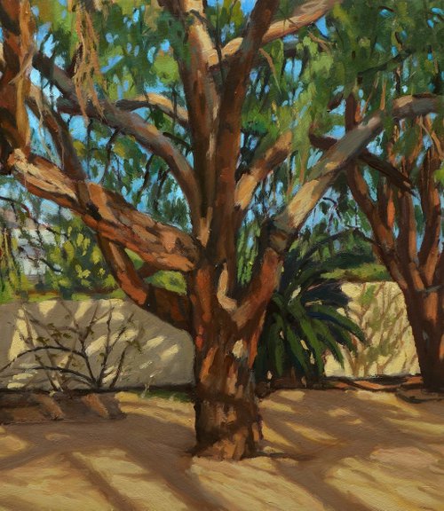 Tucson Botanical Gardens by Daniel Brian Fishback