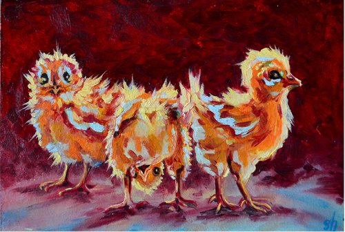 chickens by Nataliia Shevchenko