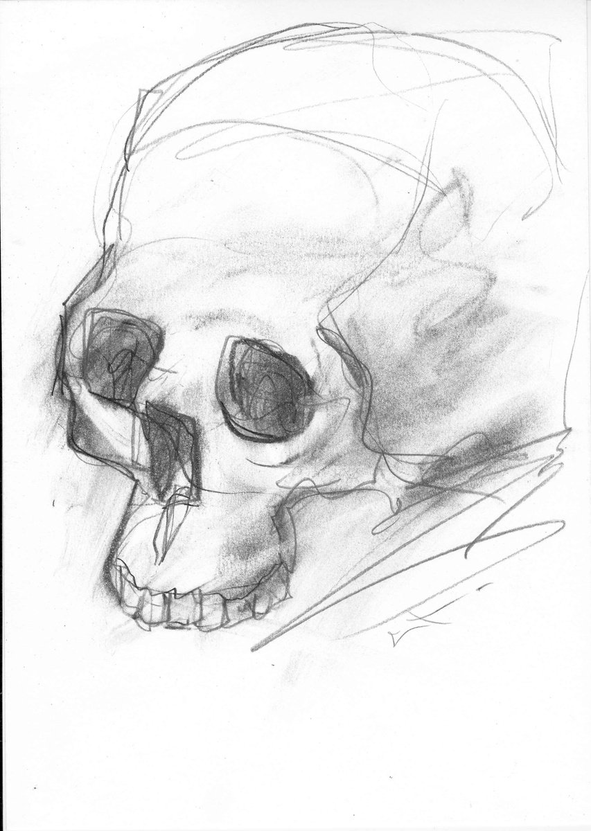Expressive Portrait Charcoal Drawing By Lionel Le Jeune, 8 X 12", Skull, Original Artwork