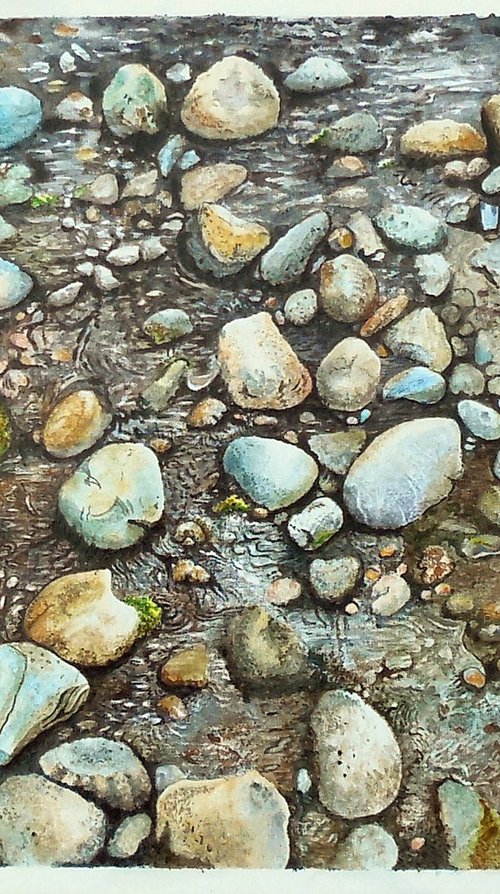 Shallow waters by Shweta  Mahajan