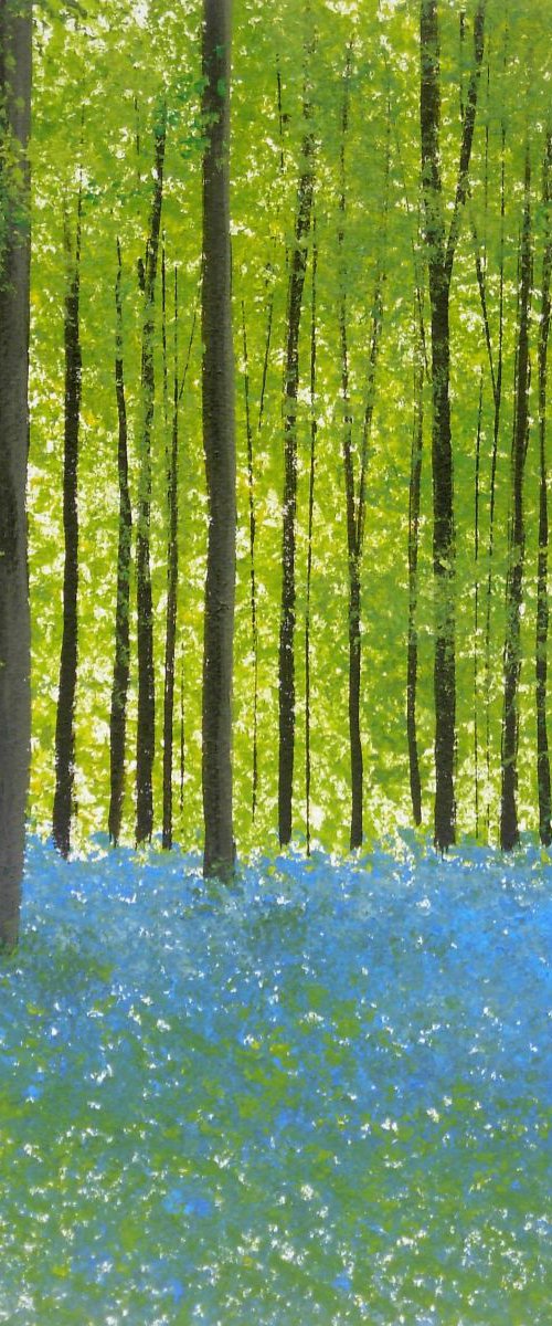 Bluebell Woods 3 by Jan Rippingham