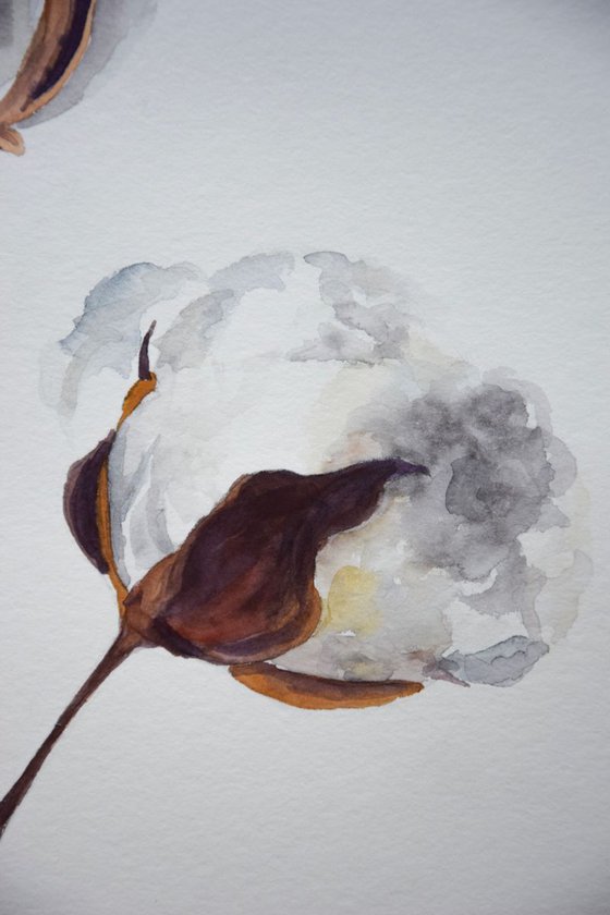 Set of 2 COTTON bolls watercolor paintings, Flowers abstract, Shabby Chic wall art