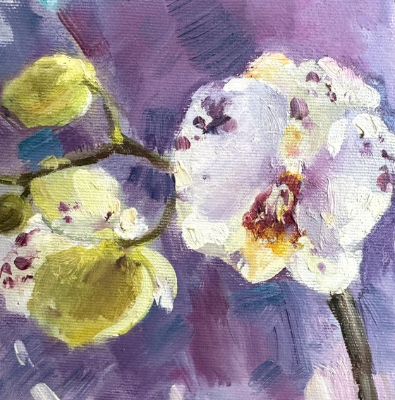 Orchid flower