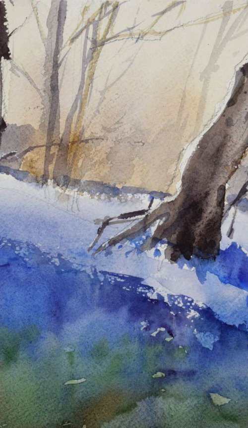 Bluebell woods ,Cornwall V by Goran Žigolić Watercolors