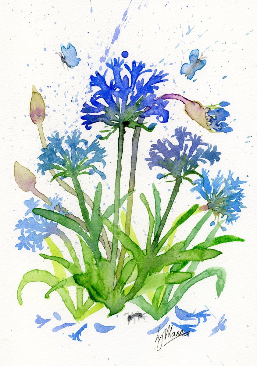 Agapanthus and Ant by Lisa Mann