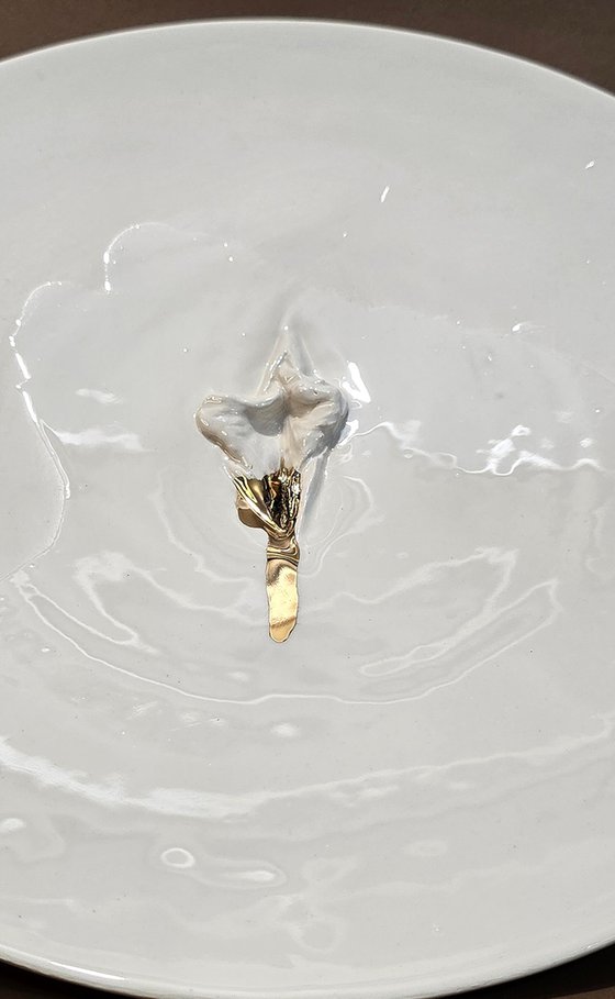 "Vulva Hypnotica XXI"
