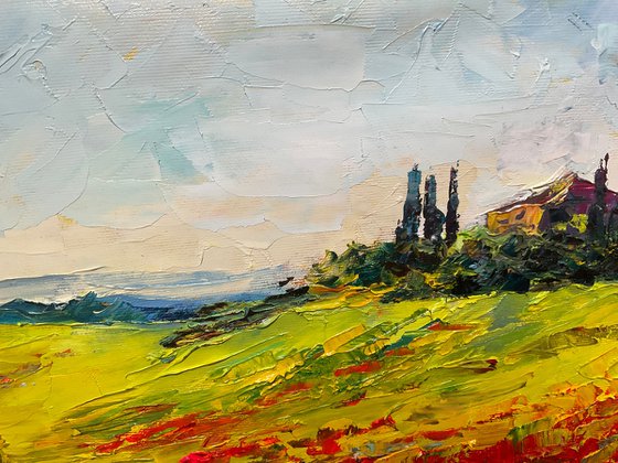 Vivid poppies. Tuscany