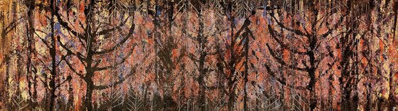 Leave No Trace /37