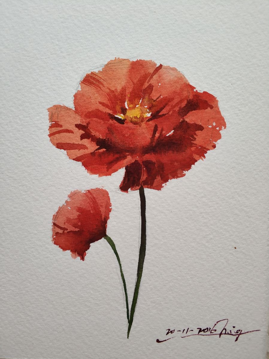 Impressionistic Botanical Drawing By Jing Chen, 5 X 7, Poppies 2, Original Artwork