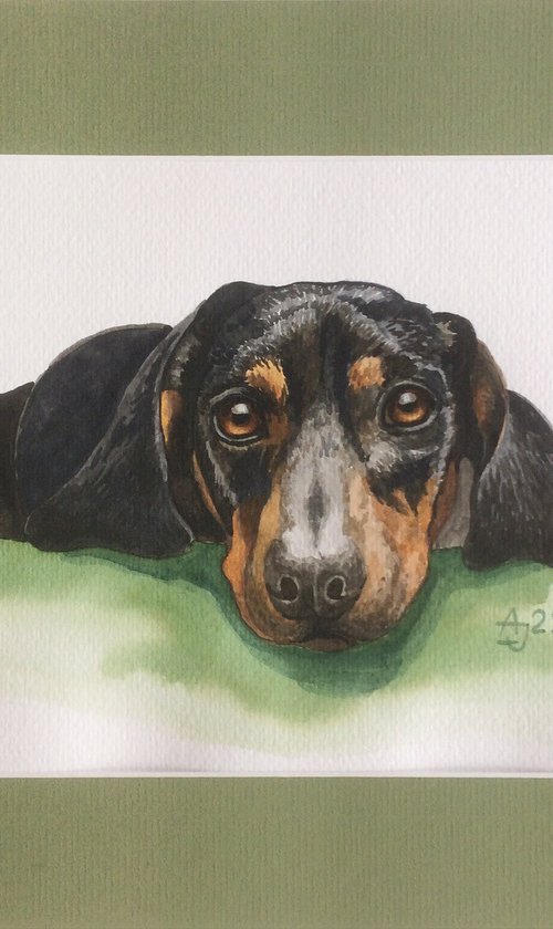 Black Dachshund by Jolanta Czarnecka