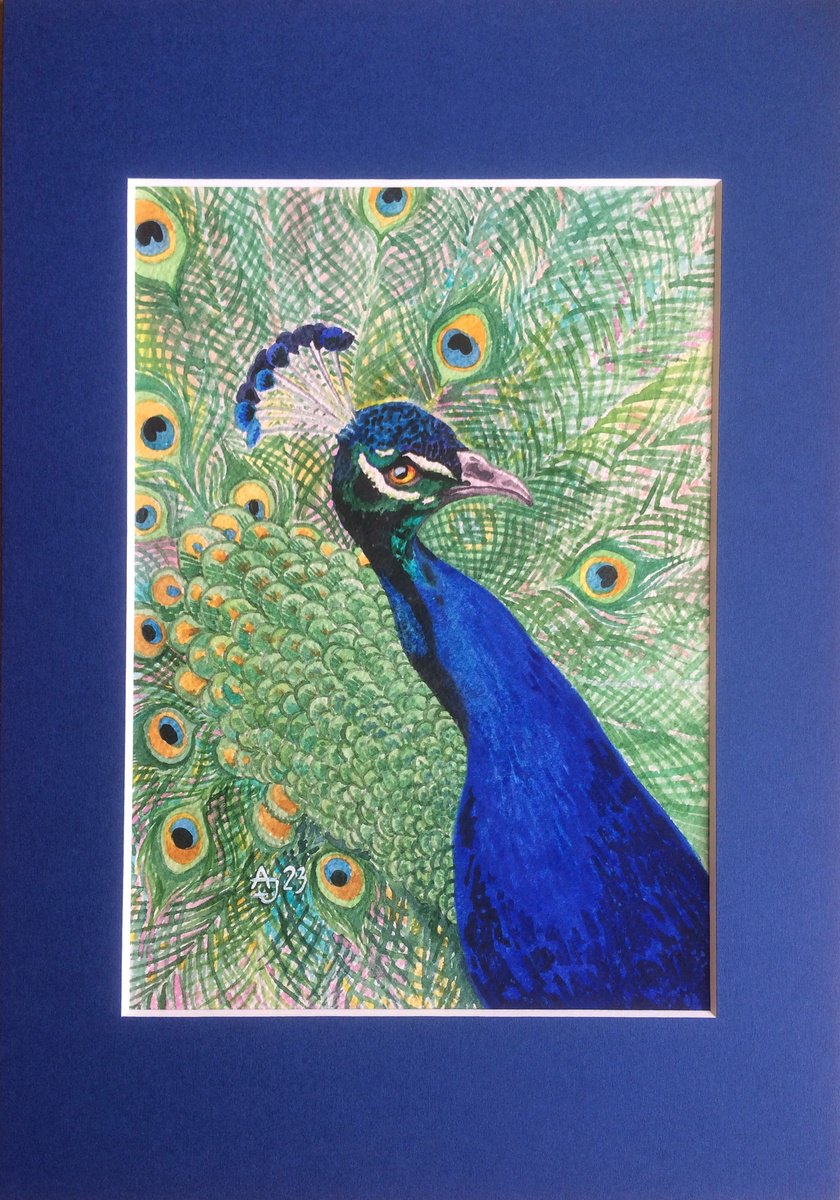 Photorealistic Animal Watercolour By Jolanta Czarnecka, 8 X 12, The Power Of Color - Peacock, Original Artwork