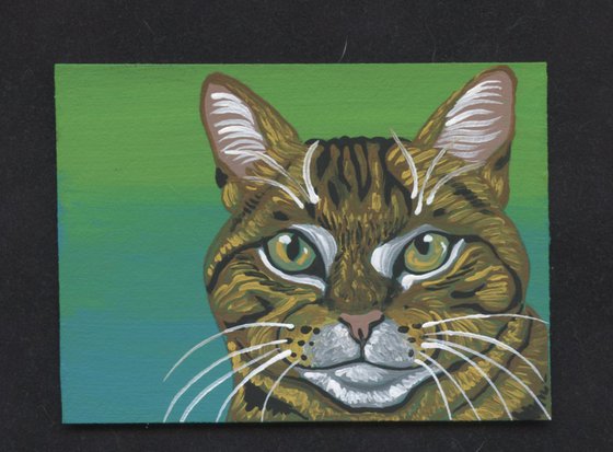 ACEO ATC Original Miniature Painting Brown Tabby Cat Pet Feline Art-Carla Smale