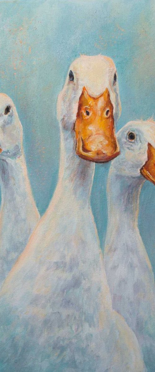 Haddenham Ducks by Ruth  Aslett