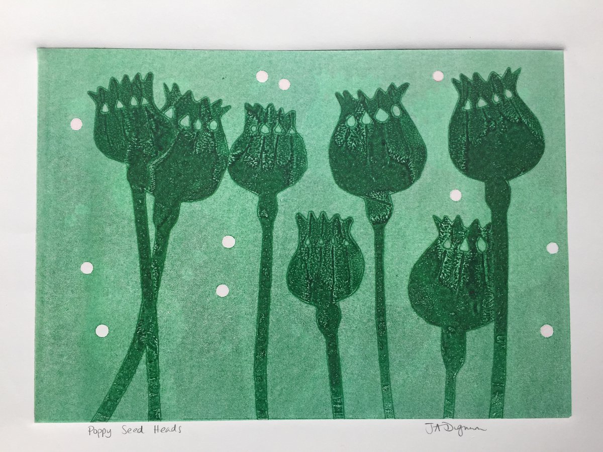 Poppy Seed Heads in Green by Jane Dignum