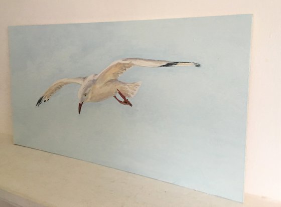 'Gull #1'