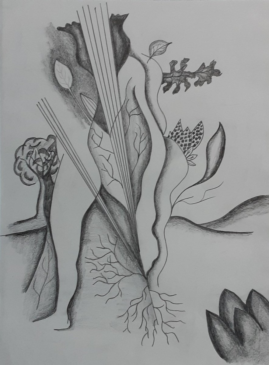 Organic Botanical Pencil Drawing By Paul Heron, 17 X 21", Treesong, Original Artwork