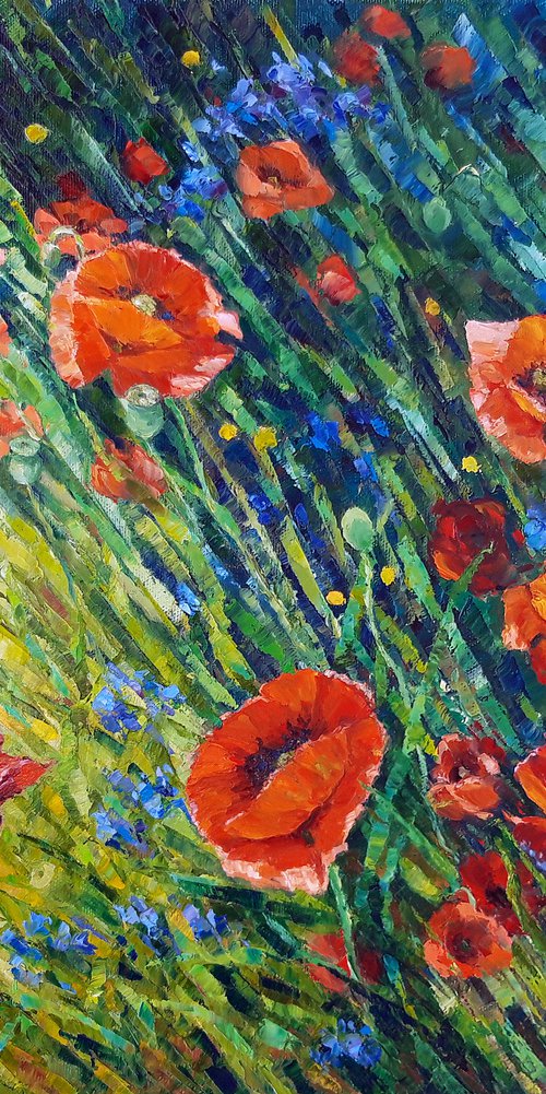 Poppy meadow by Irena Heinz