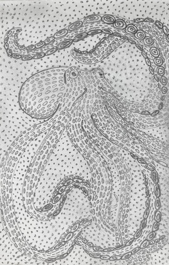 Octopus pencil drawings