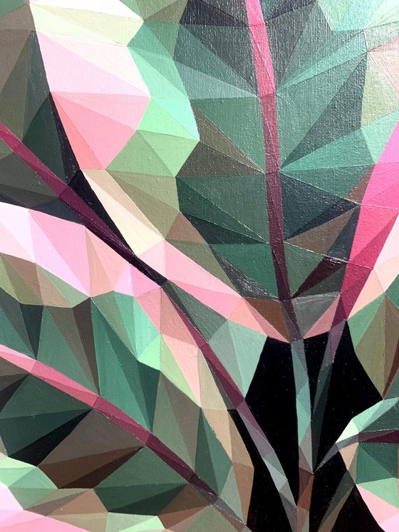 FICUS LEAVES