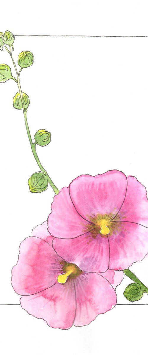 Flowers original watercolor - Pink mallow illustration - Floral mixed media drawing by Olga Ivanova