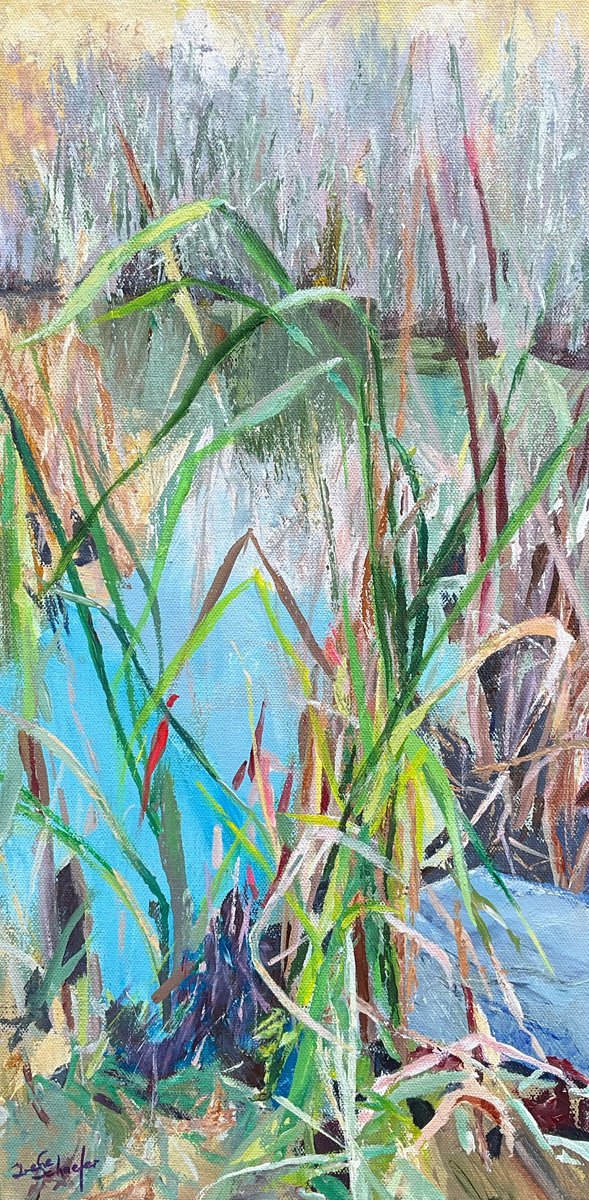  - Pond grasses - ? by Irene Schaefer