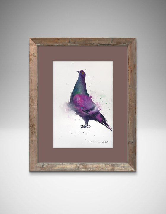 The Vibrant Pigeon