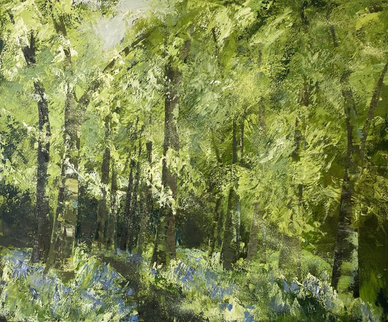 Wild Bluebell Trail