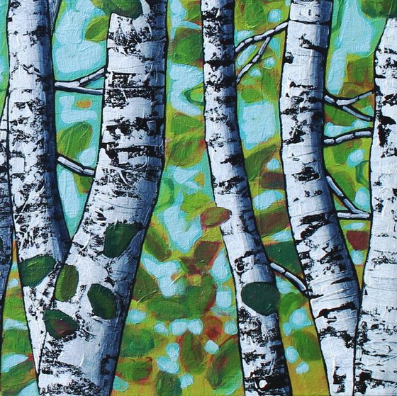 Birch Forest Light
