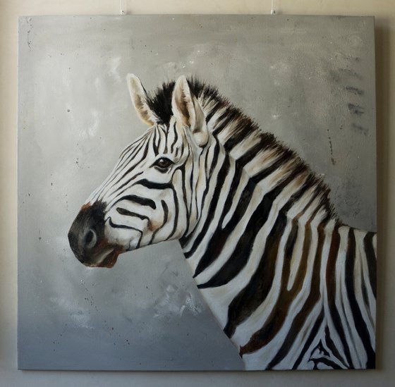 Portrait of a zebra