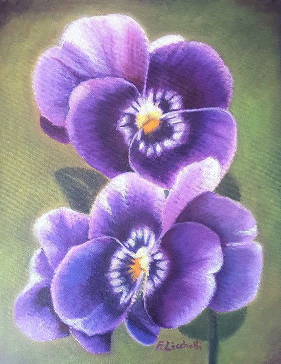 Purple pansy