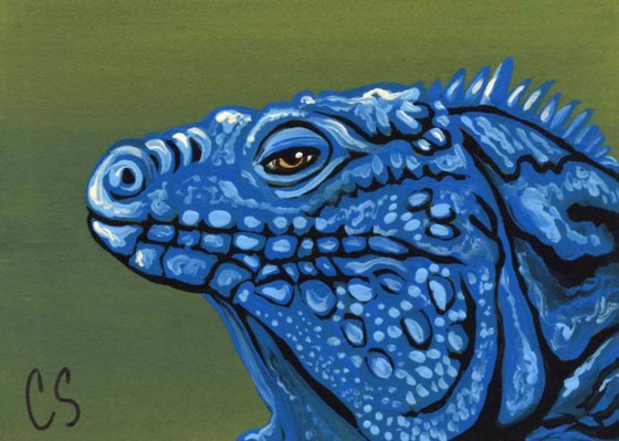 ACEO ATC Original Painting Blue Iguana Lizard Wildlife Art-Carla Smale