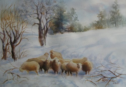 Lost Sheep by Elena Oleniuc