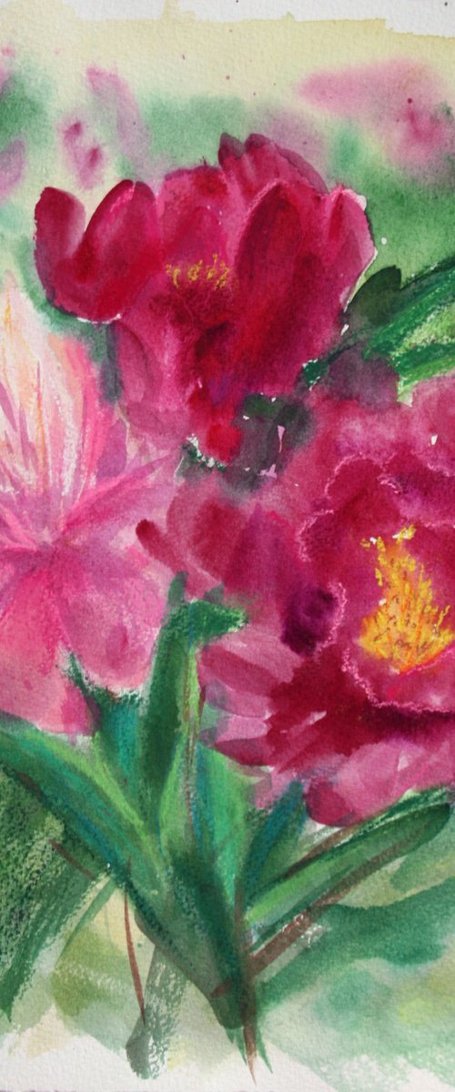 Peonies by Salana Art / Svetlana Samovarova